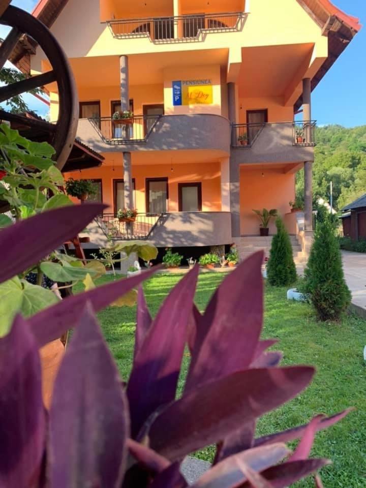 Hotel M Dey Vişeu de Sus Esterno foto